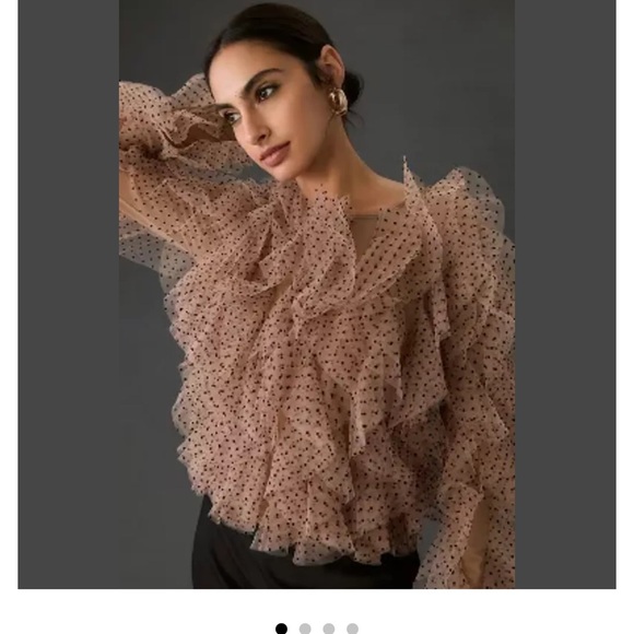 Anthropologie Tops - Anthropologie Dolan Mesh Ruffle Blouse
